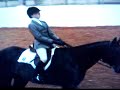 Chocolate Coin Winning Novice Youth Hunter Under Saddle