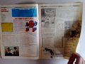 Transformers Marvel UK G1 Comics # 1 - 9 Review Part 1