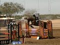 Rafferty-Jumper/Equitation/Event Horse for Sale