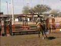 Rafferty-Jumper/Equitation/Event Horse for Sale