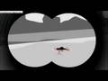 videos de Drowning in Panama - Sift Heads 4