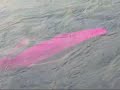 agua