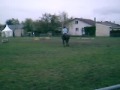 Bouscarou