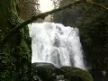 Sweet Creek Falls Video