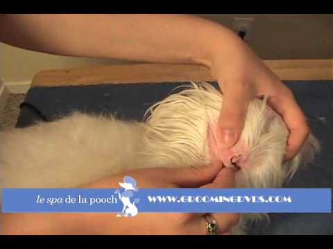 how to eliminate ear hair