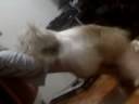 05-07-08_1238.3gp