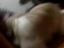 05-07-08_1238.3gp
