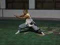 Newik martial art trailer test1
