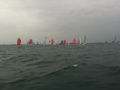 2009 Melges 32 Gold Cup
