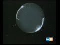 Así comenzaba... La Bola de Cristal Así comenzaba... La Bola de Cristal