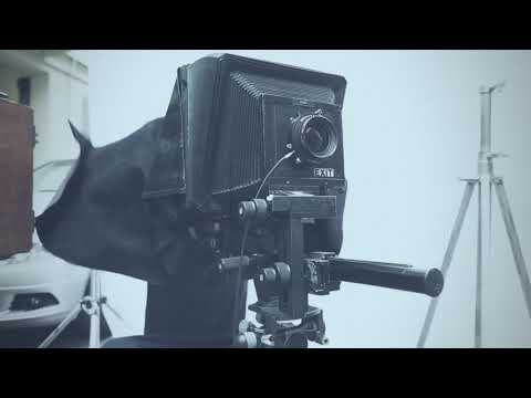 video-show