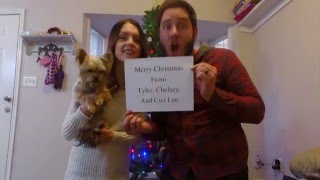 Christmas Timelapse 2015 (Pregnancy Announcement)