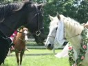 RE Summer Horse contest 2 RE Summer Horse contest 2