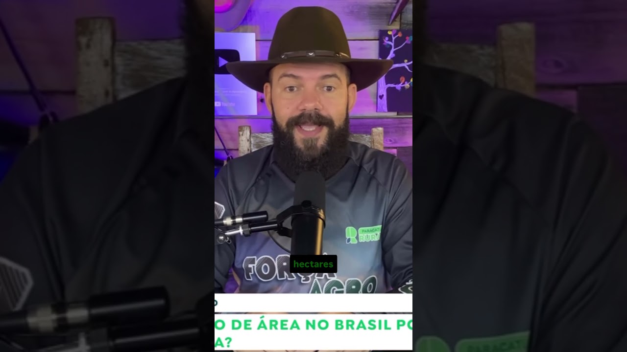 Trigo: Redução de área no Brasil pode pressionar a oferta interna?