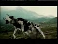 cow matrix