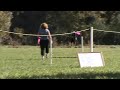 Frisbee Riot 01