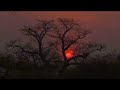 Typical African Sunset