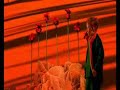 le jardin de roses