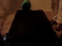 Boo getting a workout