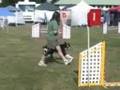 Dazzle Agility Trial - USDAA NW Regional 2008