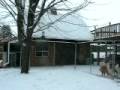 videos de Our Collies in their Kennel