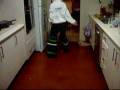 videos de CTH//Nova Shuffle