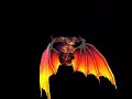Malefic Tier 6 - Gnome
