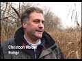 Tierwelt im Rheintal - Säugetiere Teil 2