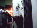 The Door