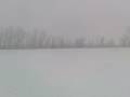 videos de corsa nella neve