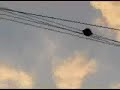 127-new sky