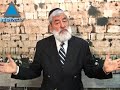 Paracha Kedoshim: Le Rav Mordochaï Bensoussan nous éclaire
