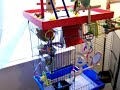 Lovebird Cage Set-Up Lovebird Cage Set-Up