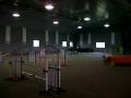 videos de Flip -Canadian Agility World Team Practice (Ontario)
