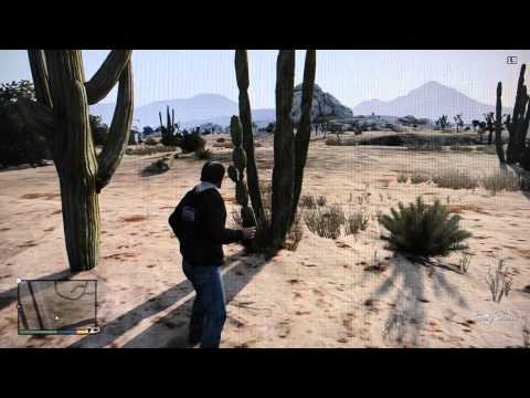 how to get rid woodpeckers