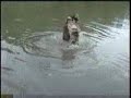 NENE STALLONE e HENRIQUE SCHWARZNEGGER... FISHING .Pescando.