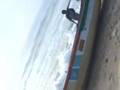 videos de chennai fisherfolks
