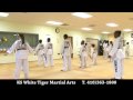 KS WHITE TIGER MARTIAL ARTS DEMO TEAM