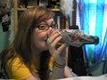 a bottle-nosed cassie. a bottle-nosed cassie.