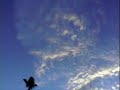 Soufly - Under The Sun - Creepy Las Vegas Sunset