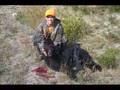 Ver Video