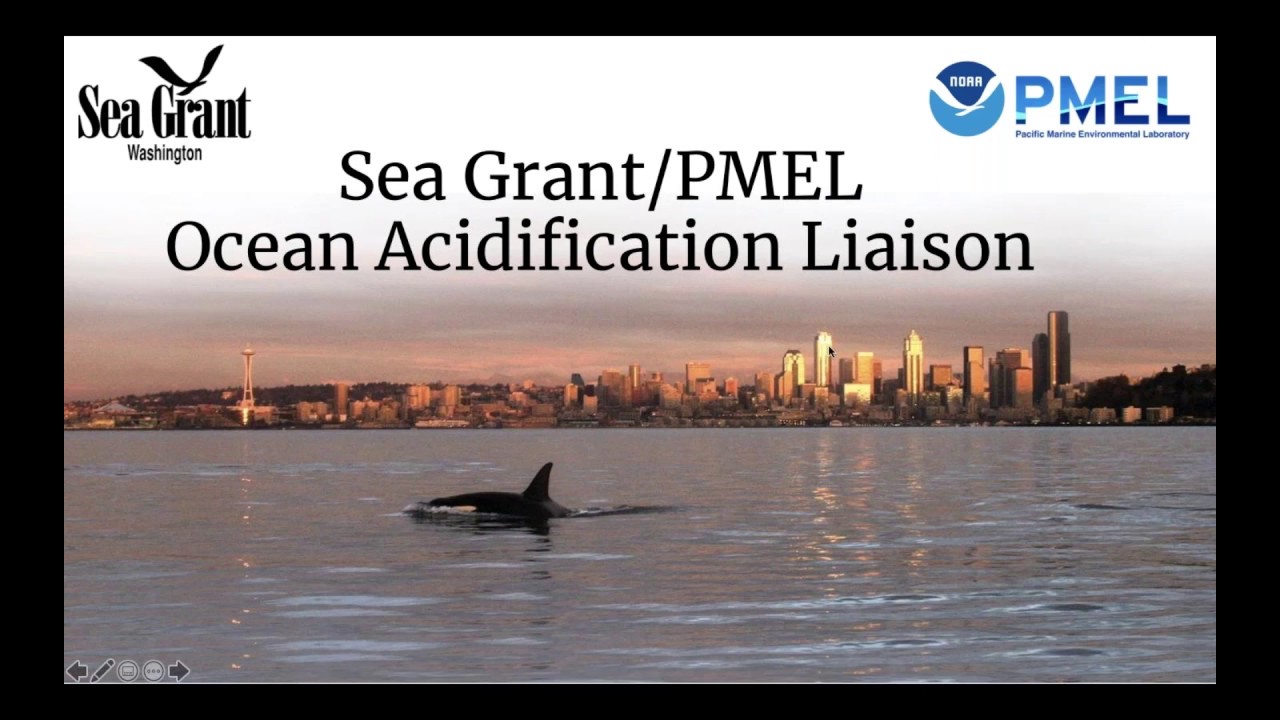 Sea Grant Spotlight:  Sea Grant and PMEL Ocean Acidification Liaison