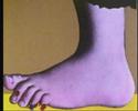 Monty Python\ Monty Python\