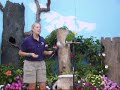 Singing Parot Singing Parot
