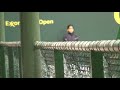 anjali ballboy 7 jan doubles
