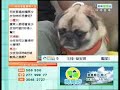 Pugmart I-cable Interview Part 1