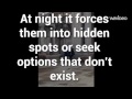 Camping Ban in Denver - YouTube