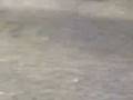 videos de Rhonda op minibike