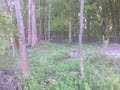 mehrere sprünge malaguti xtm