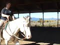 Cremello Stallion, Ghost in the Doc Cremello Stallion, Ghost in the Doc